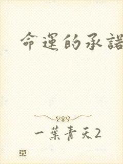 命运的承诺