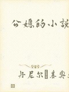公媳的小说