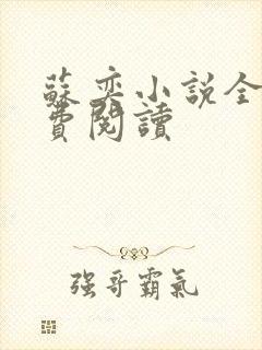 苏奕小说全文免费阅读