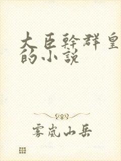 大臣干群皇太后的小说