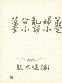 荡公乱妇第51章小说小莹