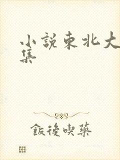 小说东北大炕全集