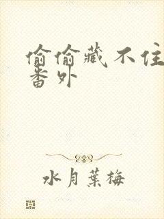 偷偷藏不住新婚番外