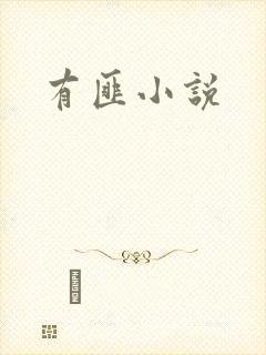 有匪小说
