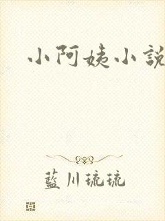 小阿姨小说