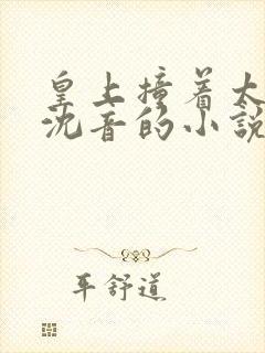 皇上撞着太子妃沈音的小说叫什么