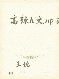 高辣h文np爽