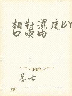 相对湿度BY大口吃肉