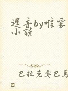 迟音by唯雾的小说