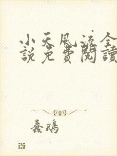 小天风流全集小说免费阅读