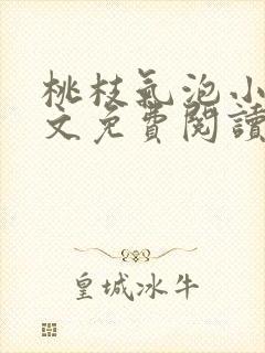 桃枝气泡小说全文免费阅读