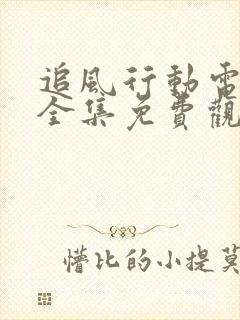 追风行动电视剧全集免费观看