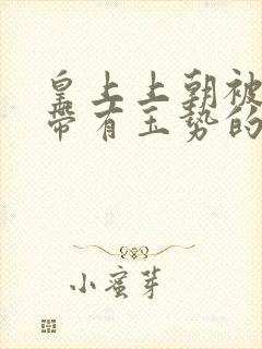 皇上上朝被迫坐带有玉势的龙椅