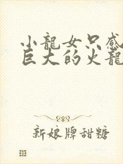 小龙女只感觉那巨大的火龙枪