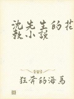 沈先生的花式管教小说