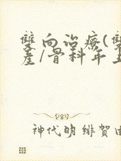 双向治疗(双/产/骨科年上)