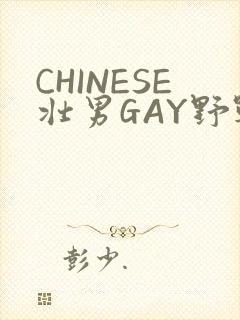 CHINESE壮男GAY野战强迫TUBE