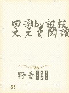 回潮by词枝全文免费阅读笔趣阁