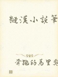 糙汉小说笔趣阁