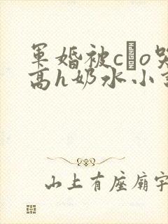 军婚被cαo哭高h奶水小说