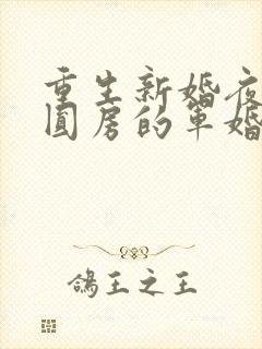 重生新婚夜正在圆房的军婚