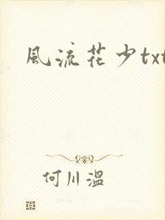 风流花少txt