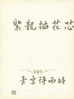 紫龙插花芯方正