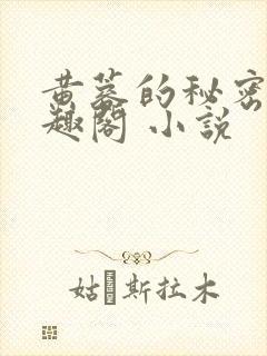 黄蓉的秘密 笔趣阁 小说