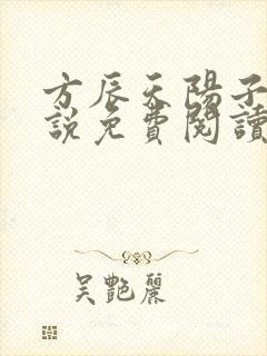 方辰天阳子的小说免费阅读