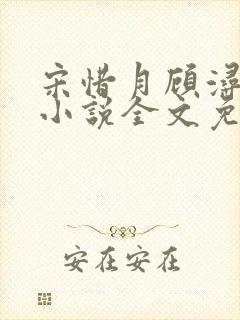 宋惜月顾浔渊的小说全文免费阅读