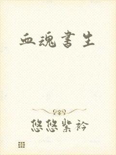血魂书生