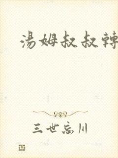 汤姆叔叔转接口