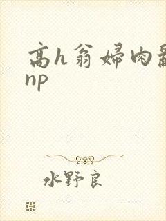 高h翁妇肉乱文np