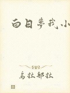 白日梦我小说