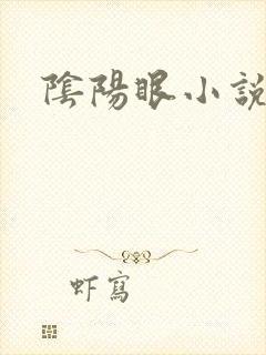 阴阳眼小说