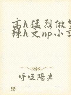 高h猛烈做哭高辣h文np小说