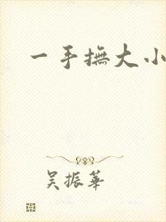 一手抚大小说
