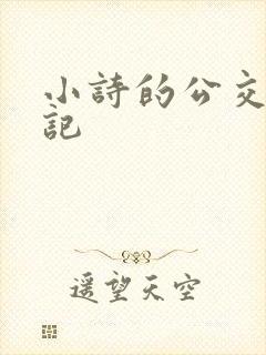 小诗的公交车日记