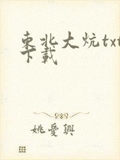 东北大炕txt下载