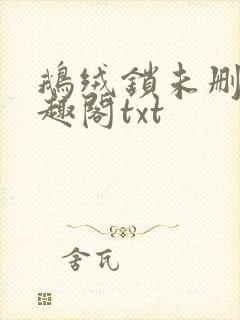 鹅绒锁未删除笔趣阁txt