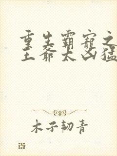 重生霸宠之摄政王爷太凶猛