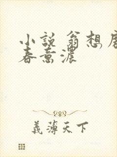 小说 翁想房中春意浓