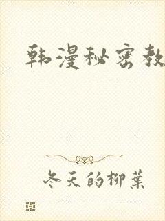 韩漫秘密教学