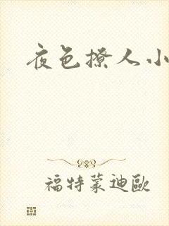 夜色撩人小说