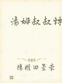 汤姆叔叔转接口