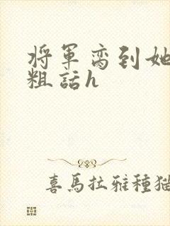 将军脔到她哭h粗话h