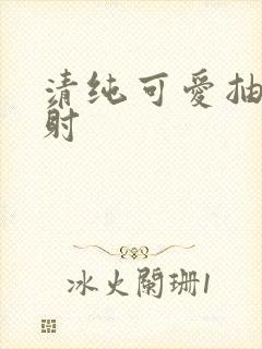 清纯可爱抽插内射