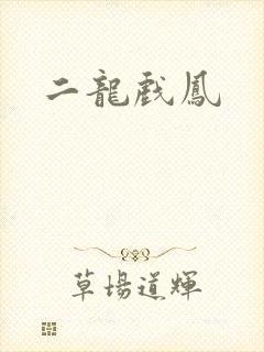二龙戏凤