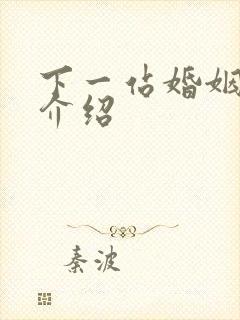 下一站婚姻剧情介绍