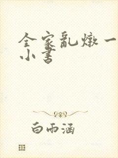 全家乱炖一锅烩小书